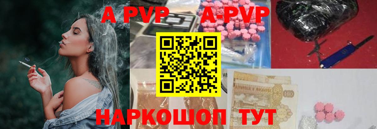 А ПВП СК  Вход с VPN  Сланцы  Альфа ПВП СК КРИС 
