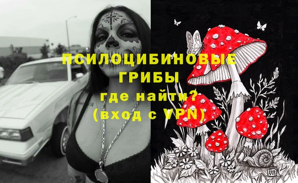 прущая мука Ельня