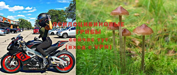 прущая мука Ельня
