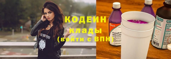 метадон Елизово