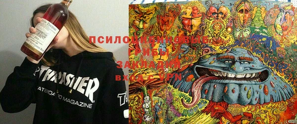 метадон Елизово