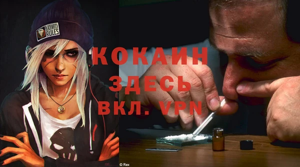 прущая мука Ельня
