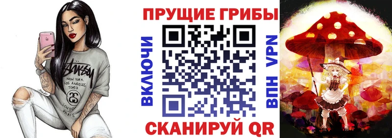 цена наркотик  Сланцы  Псилоцибиновые грибы ЛСД 