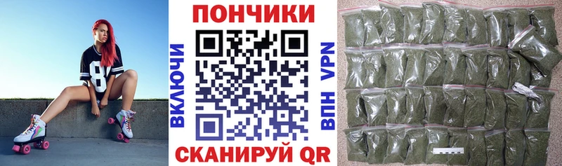 продажа наркотиков  Сланцы  Каннабис SATIVA & INDICA 